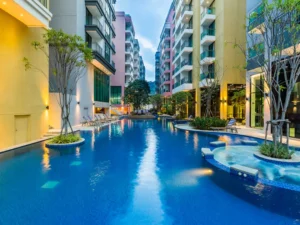 Delvia Holidays International