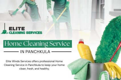 Elite Winds Services