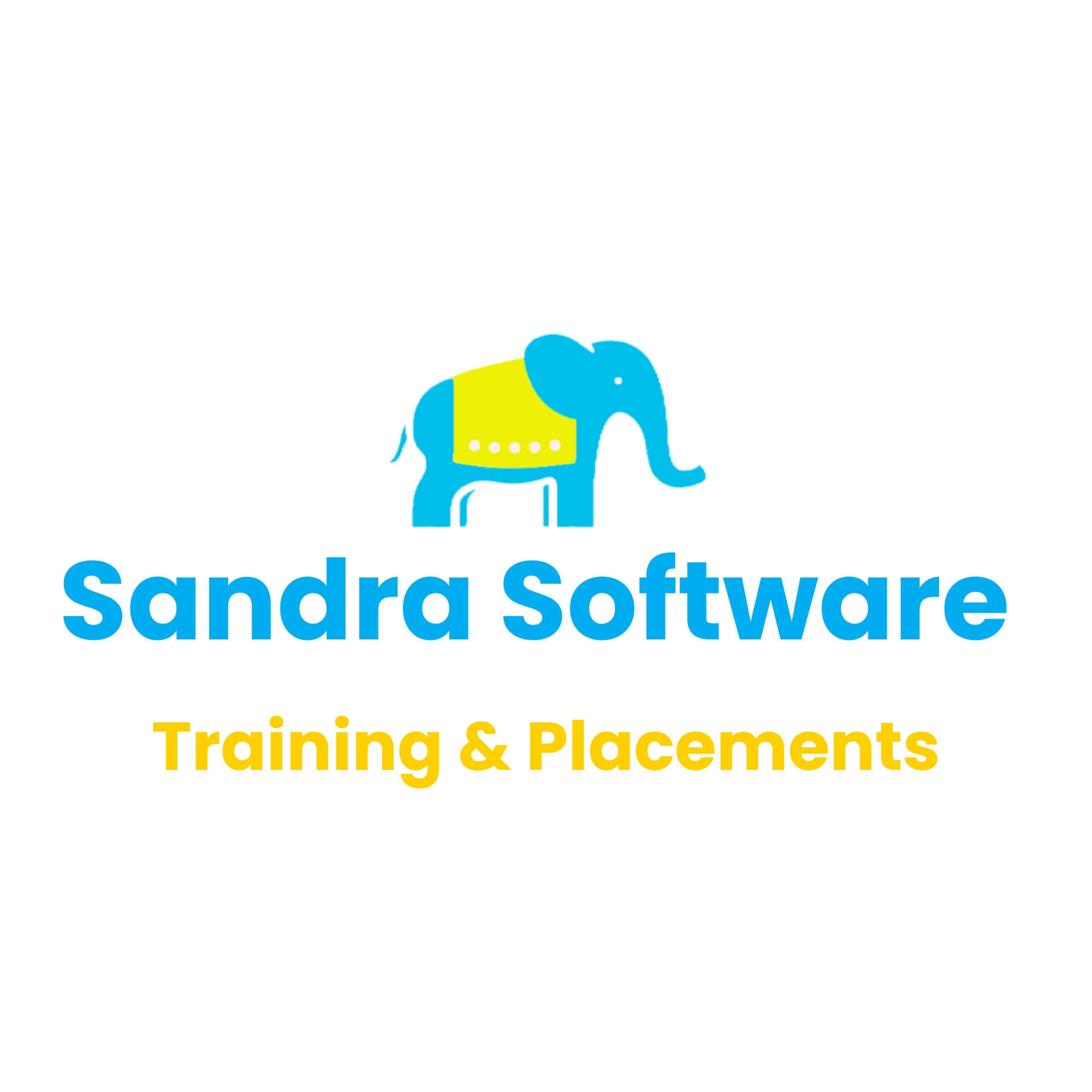 Sandra Software Training