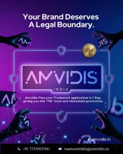 Amvidis India - Digital Marketing services
