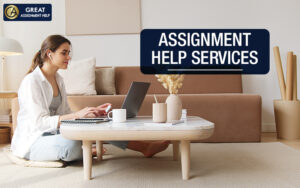 Assignment Help Online a perfect choice for Irish students?