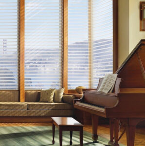 Beautiful Windows Blinds