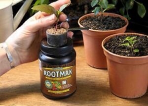 Growmate