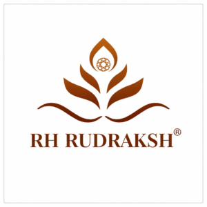 Original Nepali Rudraksha From RH Rudraksh