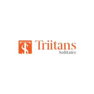 Top It Companies In Chandigarh