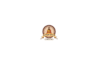 Acharya Ganesh – Astrologer Online Consultation India