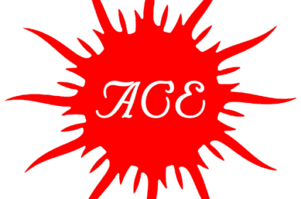 Amiras Computer Education