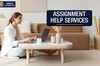 Assignment Help Online a perfect choice for Irish students?