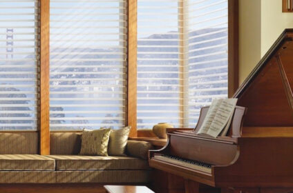 Beautiful Windows Blinds