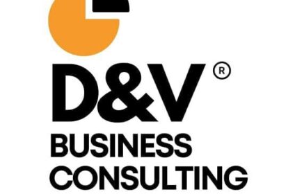 D&V Business Consulting Bangalore
