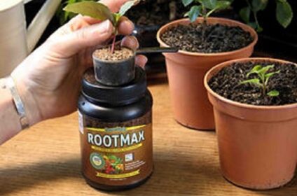 Growmate