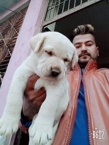 Prashant Pet Shop & Clinic