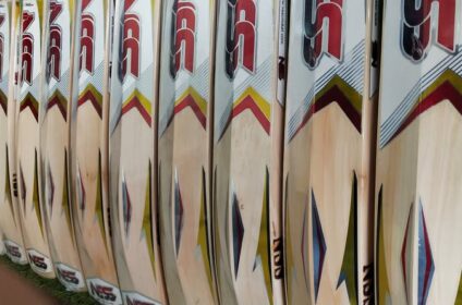 cricket bat