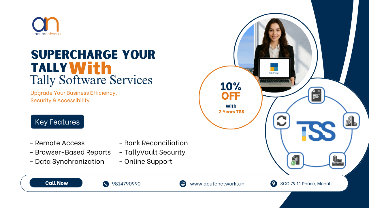 Tally accounting software