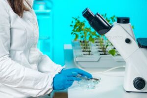 sts lab