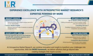 Introspective Market Research (IMR) Pvt Ltd