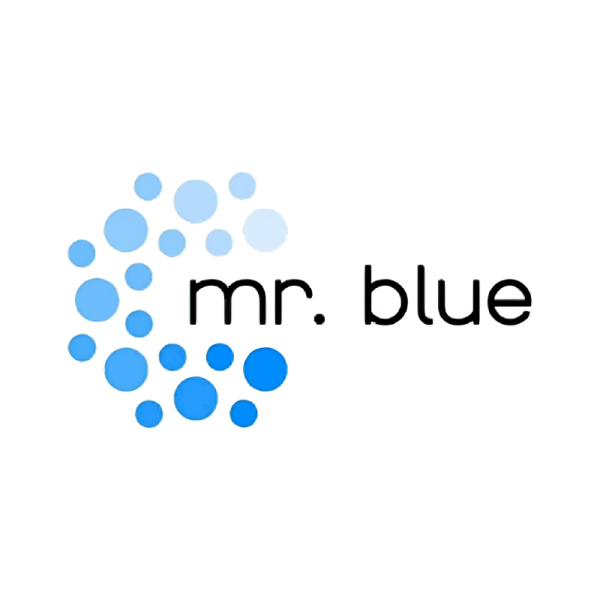 Mr Blue