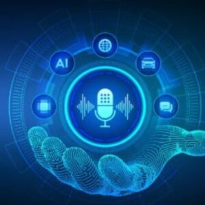 Voice Authentication