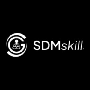 SDMskills digital marketing institute in Hisar