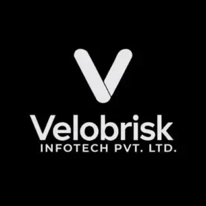 Velobrisk Infotech Pvt Ltd | Digital Marketing Company in Kanpur