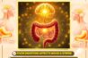 Adyant Ayurveda
