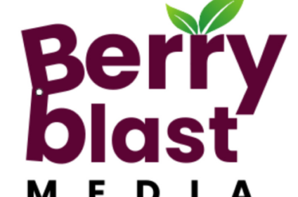 Berry Blast Media - Digital Marketing Agency in Mumbai | PPC | Social Media Marketing | SEO