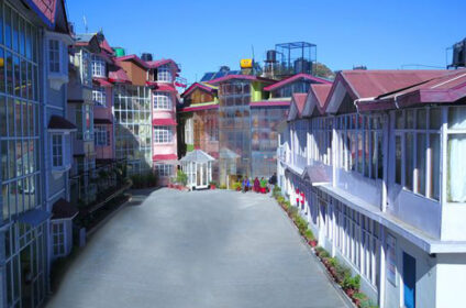 english medium primary school