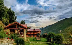 Himalayan Kothi
