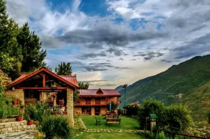 Himalayan Kothi