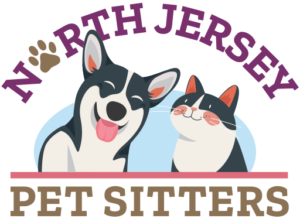 How to Find a Trustworthy Dog Sitter in North New Jersey