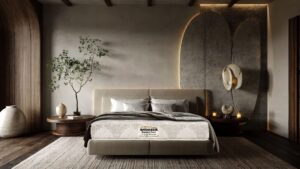Snoozer Mattress | Best Luxury Mattress in India