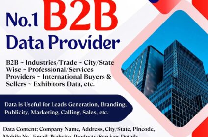 Reliable B2B Data Provider in India