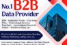 Reliable B2B Data Provider in India
