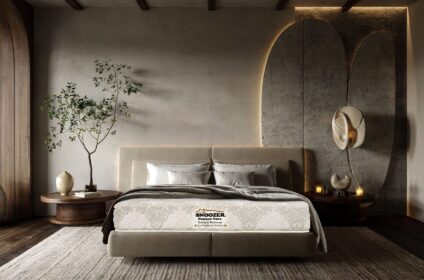 Snoozer Mattress