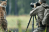 The Wild Terrain