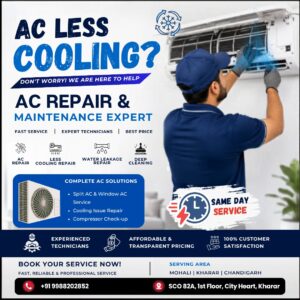 Apex Innovative Solutions