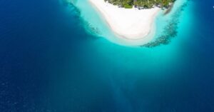 Delvia Holidays International Reviews