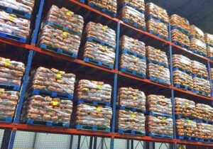 Reliable Storage System