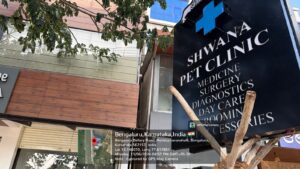 Shwana pet clinic Hunasamaranahalli