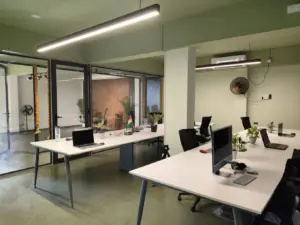 Whitelabel Media - Branding & Digital Marketing Agency
