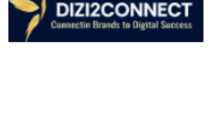 Dizi2Connect