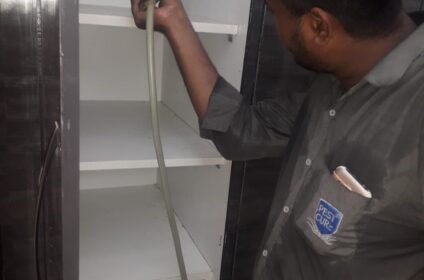 Cubboard pest control by a man