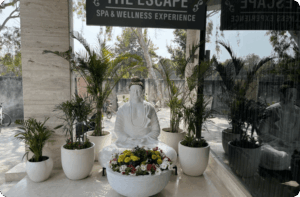 The Escape Spa and Wellness