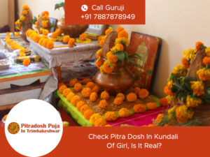 Pitra dosh Puja In Trimbakeshwar
