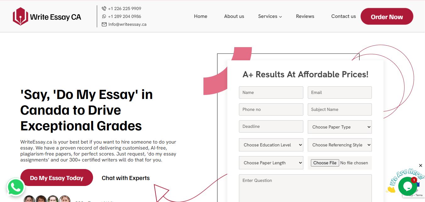 Do My Essay