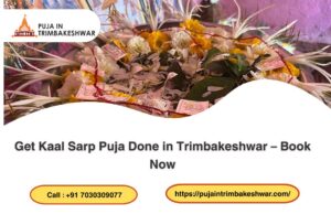 Puja in Trimbakeshwar -  Get Kaal Sarp Puja Done in Trimbakeshwar