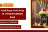 Kaal Sarp Dosh Puja In Trimbakeshwar