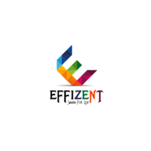 Effizent seele pvt ltd