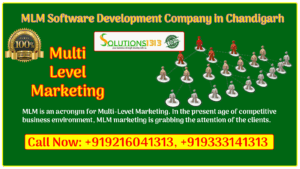 Solutions1313- MLM Software Development Company in Chandigarh