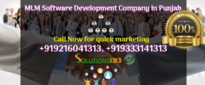Solutions1313- MLM Software Development Company in Mohali